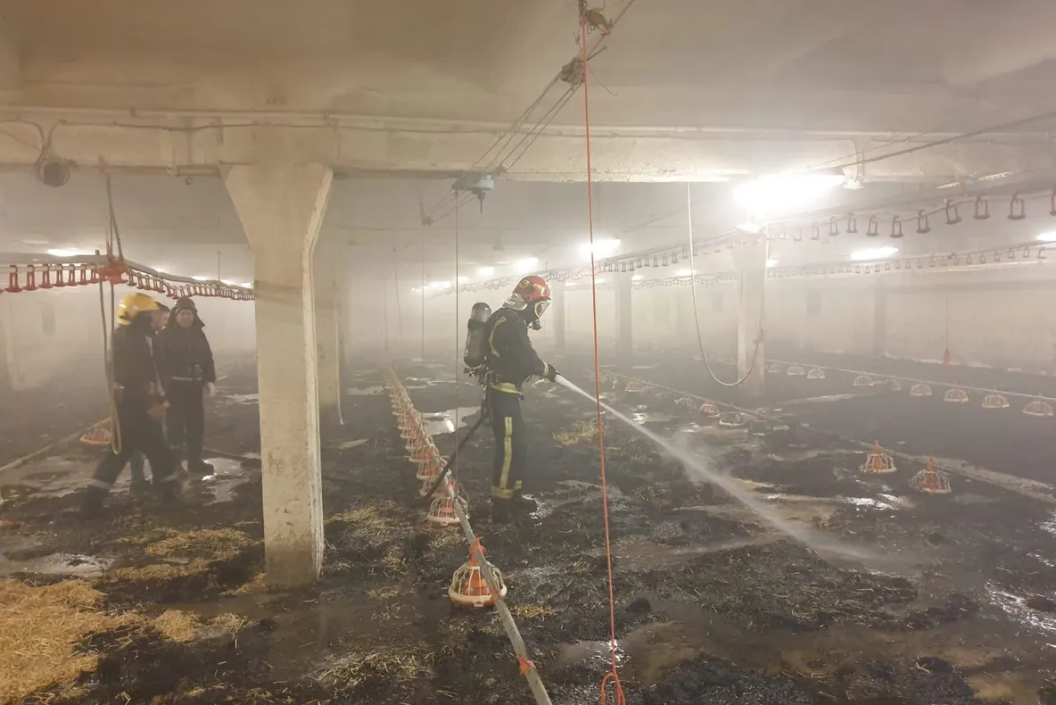 FOTO:  Incendiu la ferma de păsări de la Racova. Puii crescuți pentru carne au fost salvați