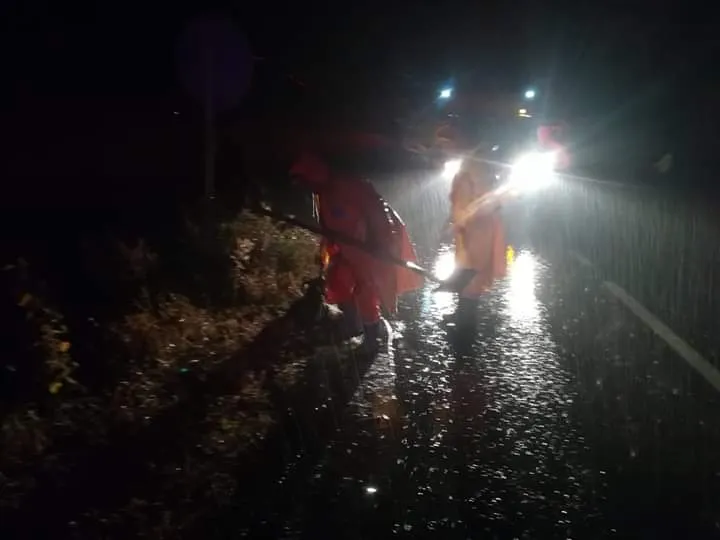 Carnagiu pe DN2! Zeci de oi și capre, omorâte de un TIR