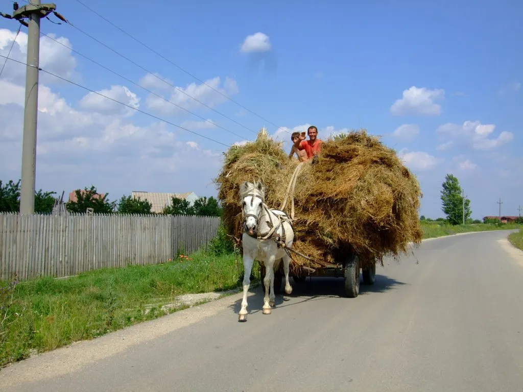 O femeie a murit în urma unui accident stupid, la Livezi