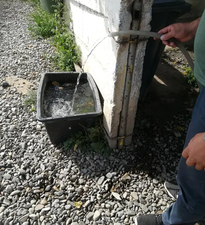 În timp ce oamenii suferă de sete, câinii din adăpostul public au apă! Și rezervă!