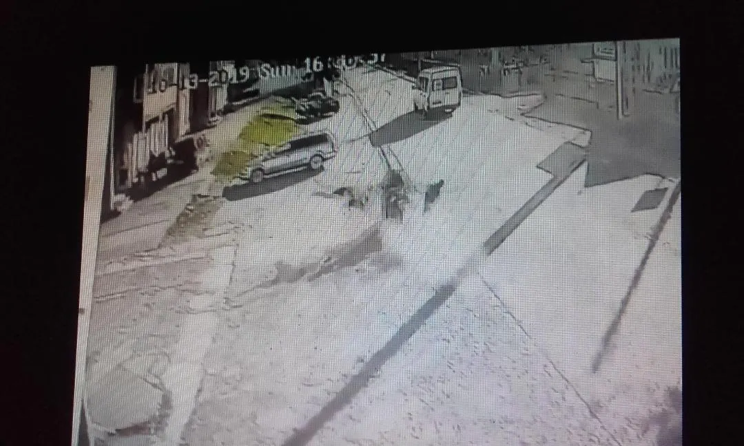 VIDEO: Familie spulberată de un scuterist inconștient. Tatăl, mama și fetița de trei ani au ajuns la spital