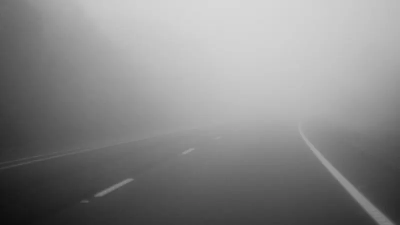 Mare atenție la drum! Ceață persistentă de-a lungul DN2 E85 în Bacău și Vrancea