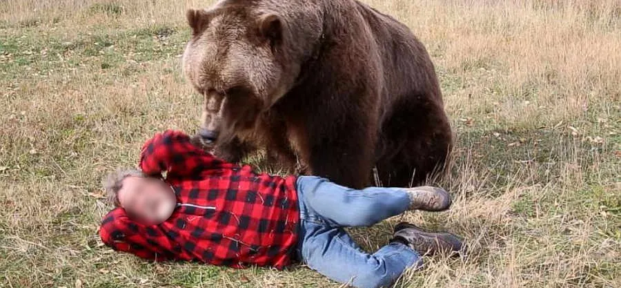 Alertă! Un om a fost omorât de urs la Bârsănești