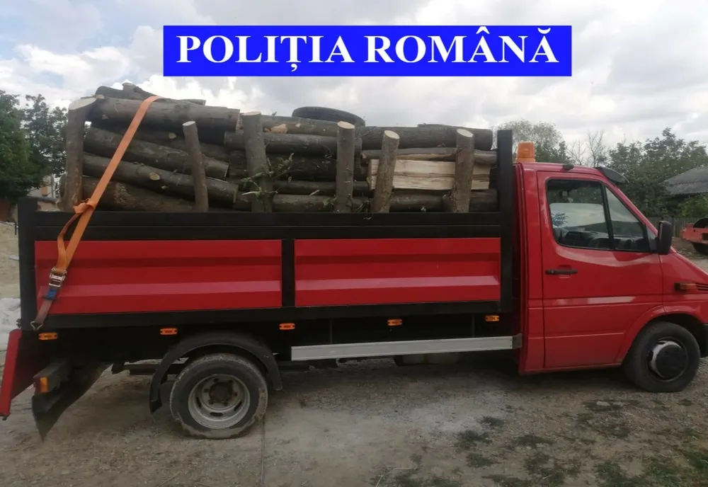 ”ACTION DAY - FORESTRY”- s-a lăsat cu dosare penale , amenzi și mașini confiscate