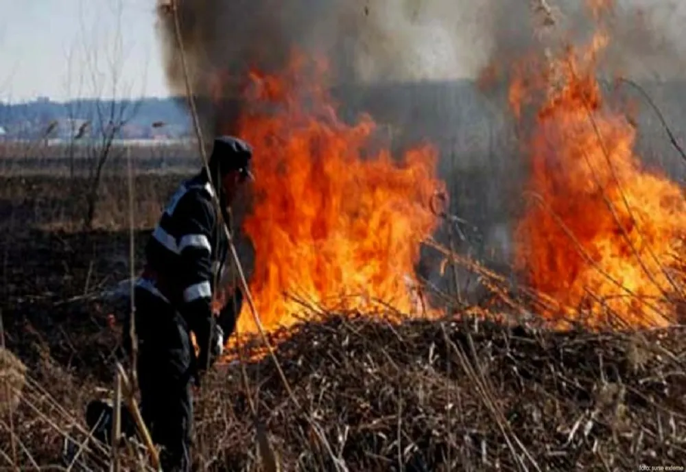 Incendiu de vedețatie la Faraoani