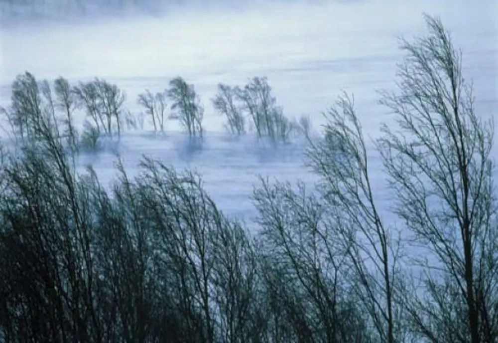 Informare meteorologică de intensificări temporare ale vântului și zăpadă spulberată în zona montană înaltă