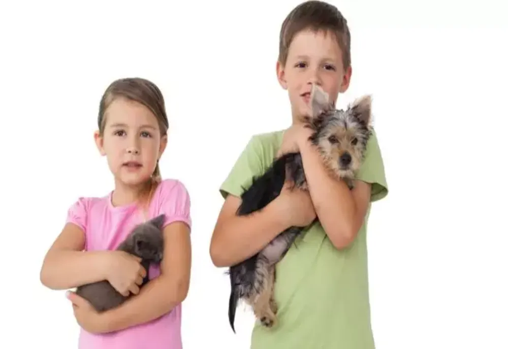 STUDIU. Oamenii care au acest animal de companie trăiesc mai mult