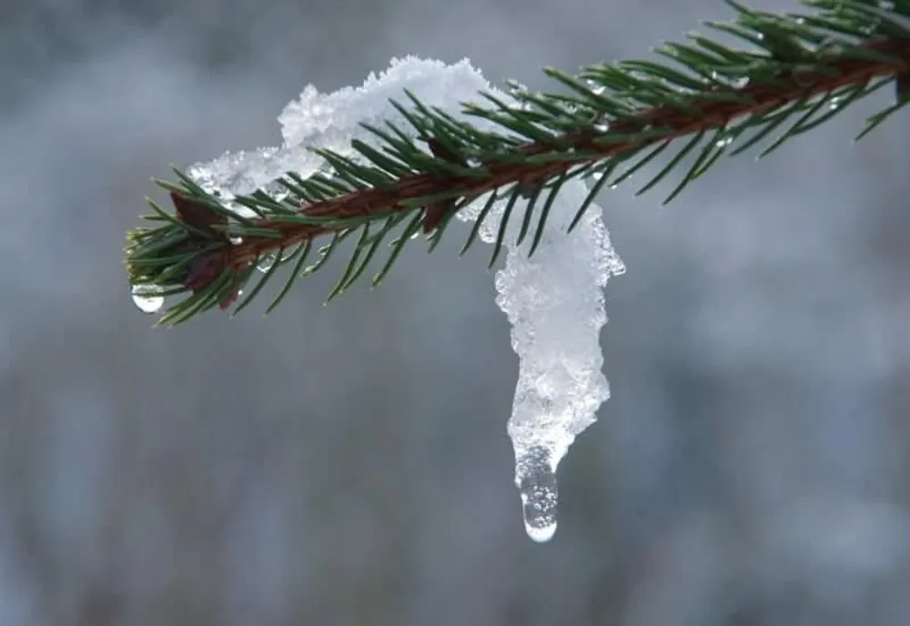 Prognoza meteo 16 ianuarie. Care sunt zonele vizate de ploi și descărcări electrice