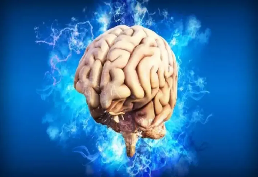 Cel mai bun aliment pentru sănătatea creierului: De ce îl recomandă neurologii