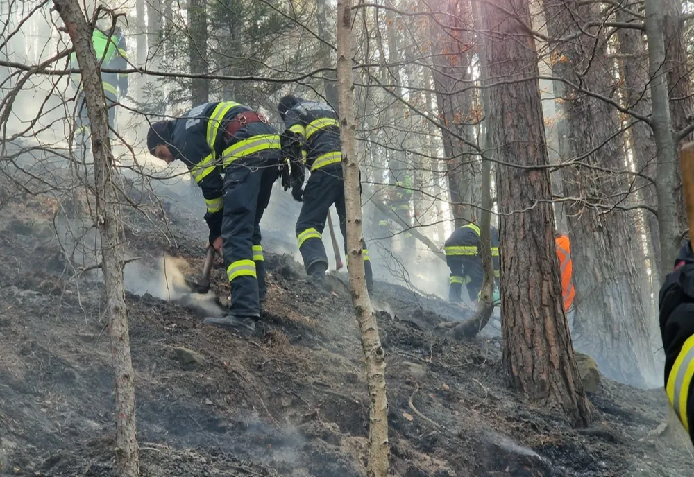 Incendiul de la Ocolul Silvic Privat Oituz este localizat