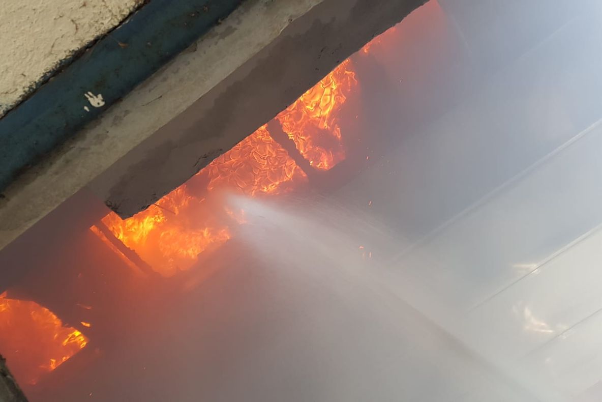 Mai multe animale au ars de vii din cauza unui incendiu de vegetaţie uscată