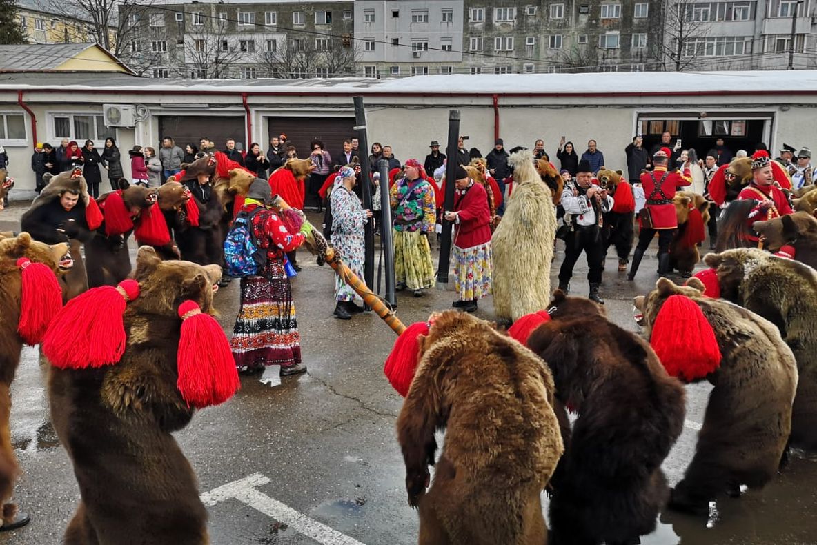 Cete de urători au umplut curtea IPJ Bacău