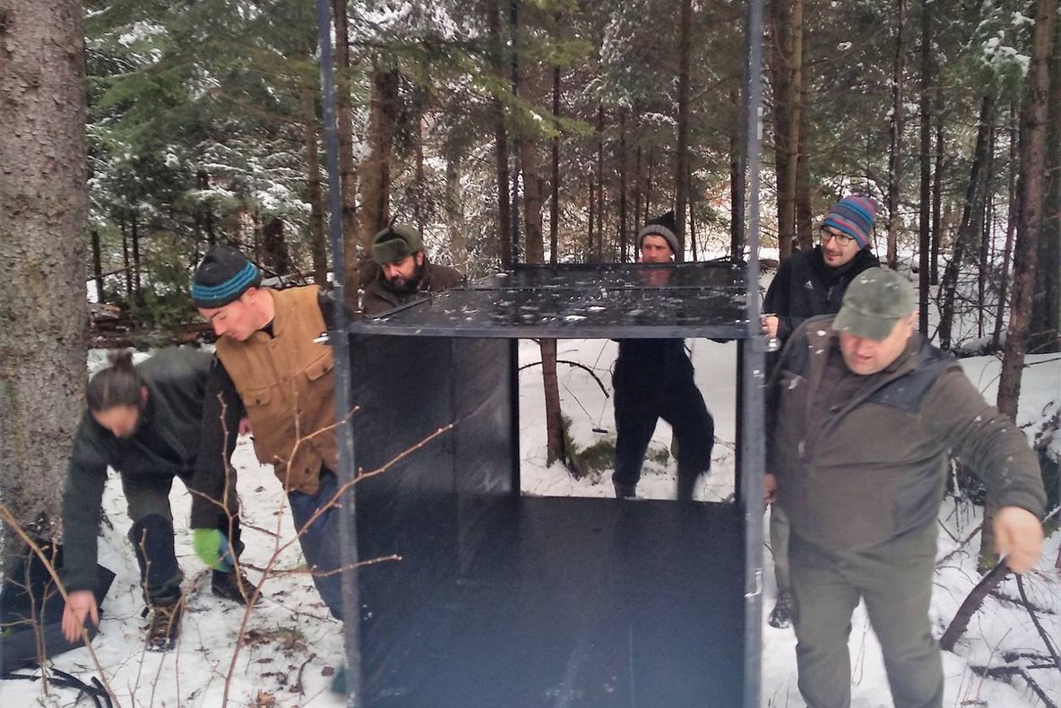 Cuști pentru capturarea râșilor, amplasate în pădurile din județul Bacău