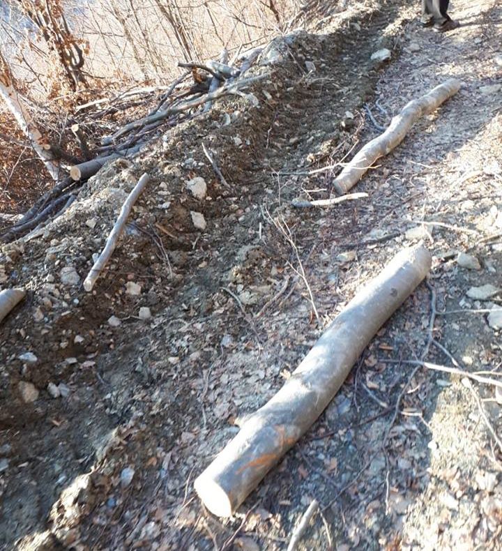 Percheziţii la un braconier din Gioseni! KILOMETRI de plasă de pescuit, confiscați de poliție