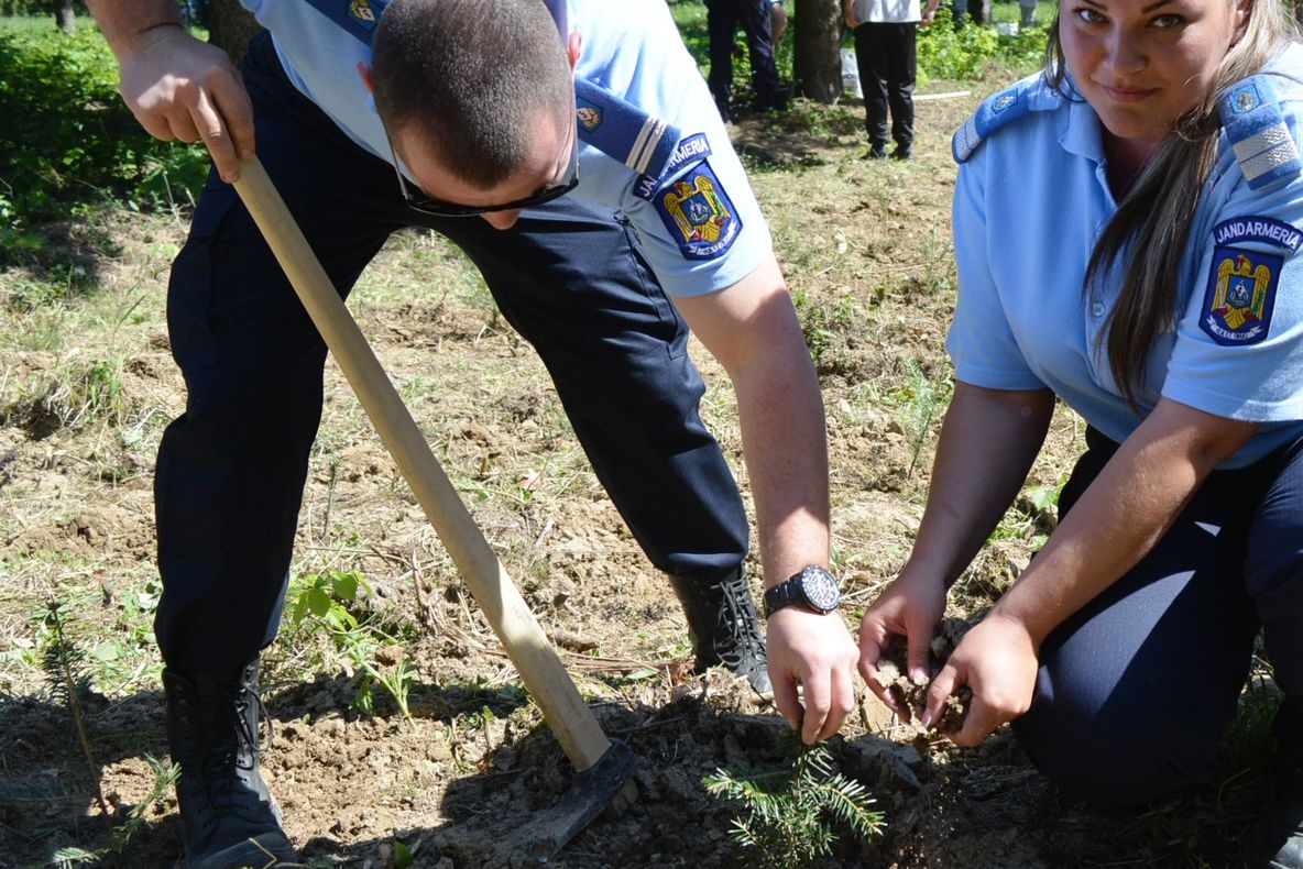 Misiune inedită pentru jandarmii din Bacău: au ieșit la plantat arbori
