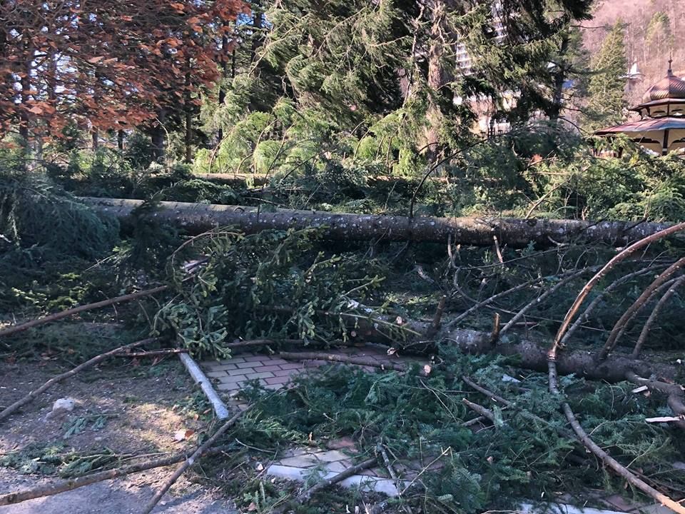 FOTO: Brazi smulși din rădăcină de vântul puternic la Slănic Moldova! Parcul stațiunii, devastat de furtună