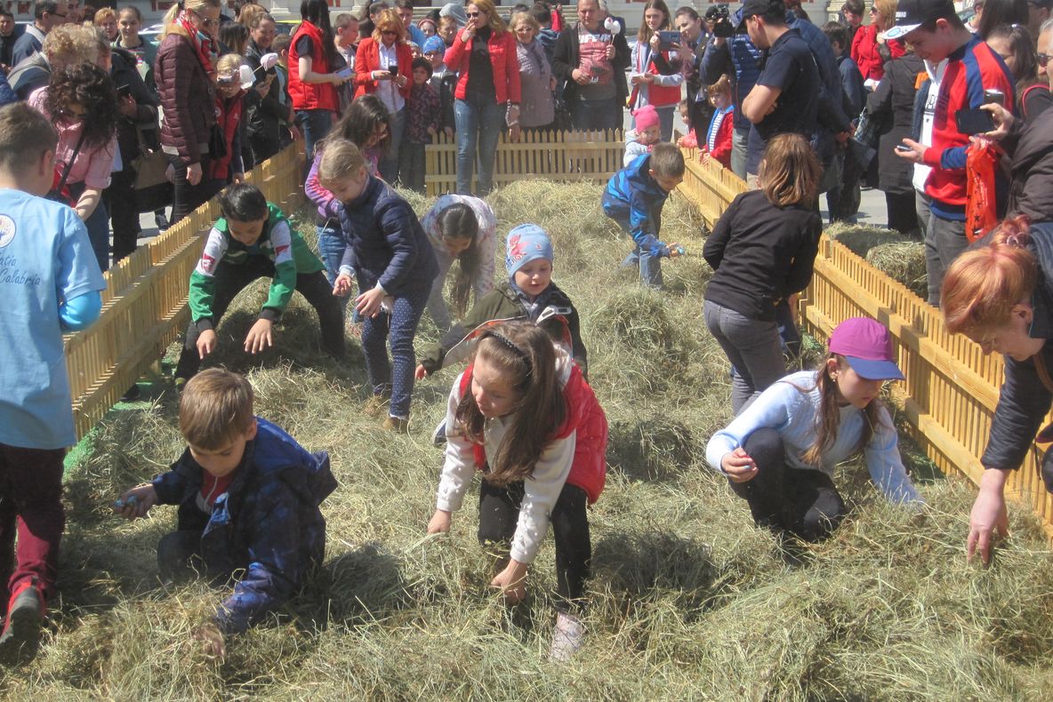 GALERIE FOTO: Prichindeii au umplut Piața Tricolorului din Bacău. Cel mai palpitant moment-căutatul ouălor în fân
