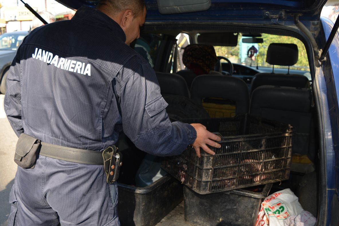 FOTO: Bărbat cu dosar penal pentru că a fost prins la pescuit în perioada prohibiției