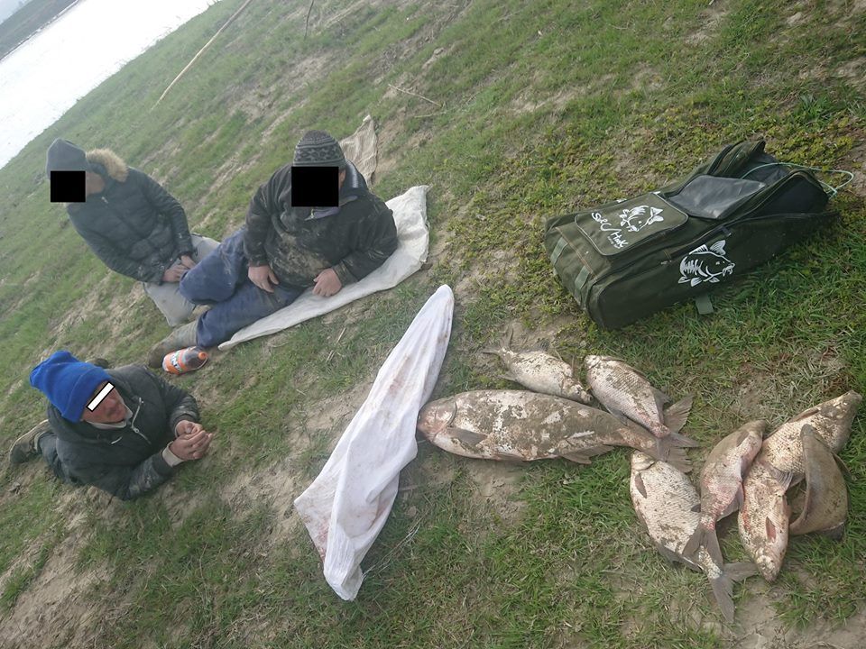 FOTO/VIDEO: Braconieri prinși cu fitofagi și plătici uriașe pe Lacul Galbeni