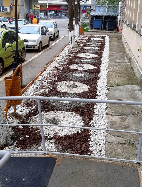 De la mochetă la natură moartă! Pietre și coajă de copac în loc de iarbă și flori, în apropierea Primăriei Bacău