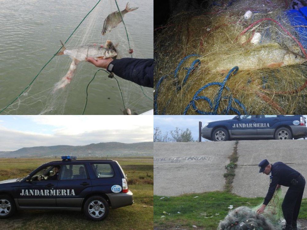 Braconier prins în flagrant de jandarmi. Peștii prinși în plasă au fost eliberați