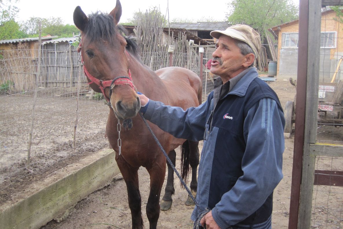 GIGI și STELUȚA au învrăjbit două familii după o partidă de amor sălbatic cu final nefericit