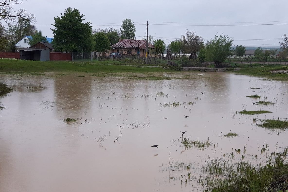 Pericolul inundațiilor nu a trecut! Trotușul și Bistrița rămân sub avertizare cod galben