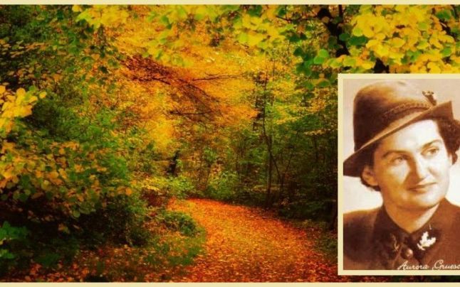 Aurora Gruescu din Oituz, în Cartea Recordurilor ca prima femeie inginer silvic din lume. Este printre cele 10 femei din România care au schimbat lumea