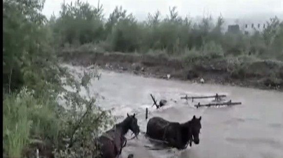 ULTIMA ORĂ: Bărbatul dispărut din Cașin a fost găsit. Din nefericire, el era mort