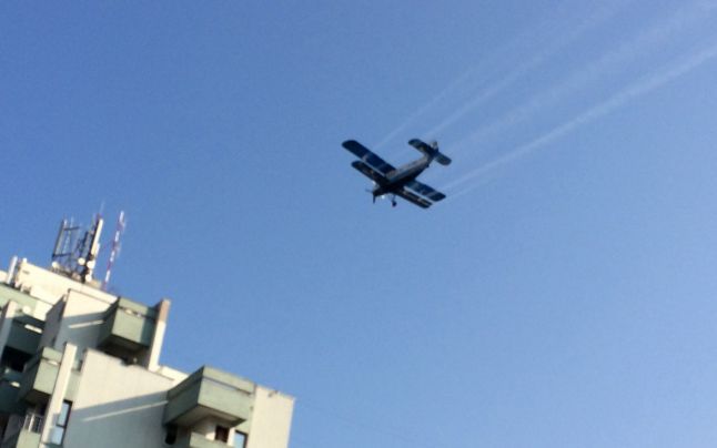 Primăria Bacău declară război țânțarilor și căpușelor. Cu o condiție: să nu mai plouă!