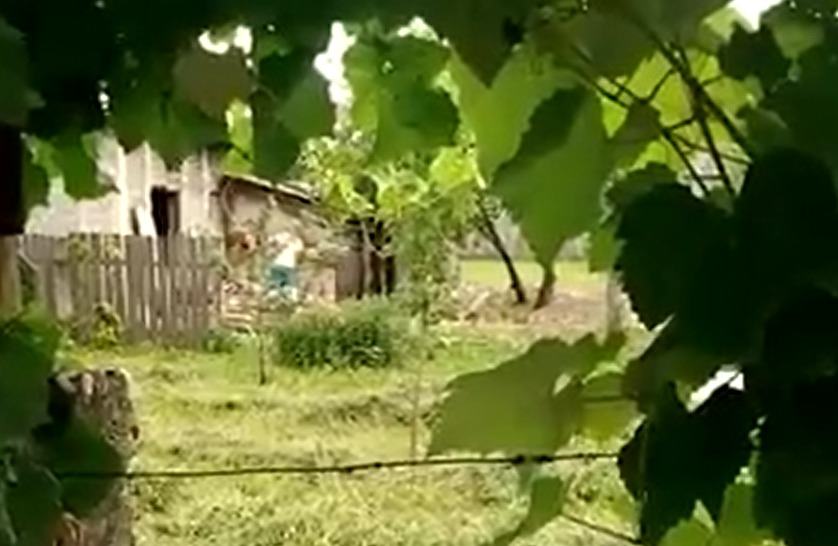 VIDEO: Încă un caz de cruzime asupra animalelor! Câine bătut cu furca în comuna Tamași