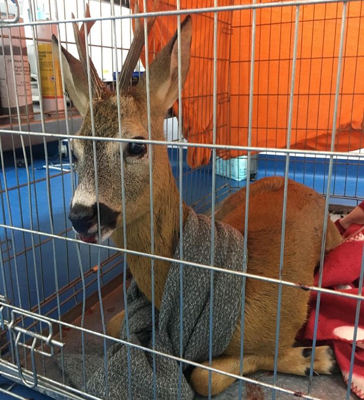 GALERIE FOTO: Postarea revoltătoare a unei tinere din Bacău, care arată câte piedici poți întâmpina ca să salvezi o viață