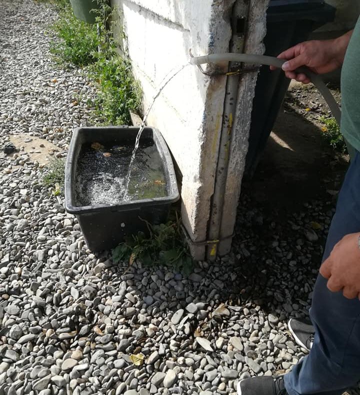 În timp ce oamenii suferă de sete, câinii din adăpostul public au apă! Și rezervă!