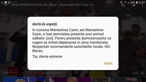 Ursul de la Onești a plecat la plimbare. Mesaj RO-ALERT pentru locuitorii din Mănăstirea Cașin