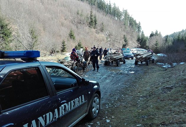 Tâlhărie la drumul mare! O femeie a fost prădată ziua în amiaza mare, în Bacău. Tâlharul a fost prins de jandarmi