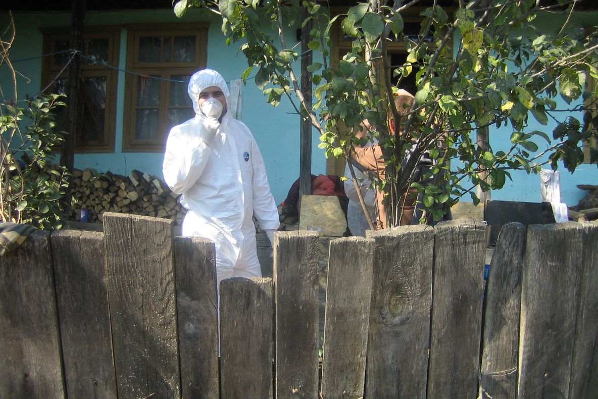 Un cetățean francez stabilit de două luni în județul Bacău și-a snopit în bătaie concubina franțuzoaică. Agresorul a fost arestat ieri pentru tentativă de omor