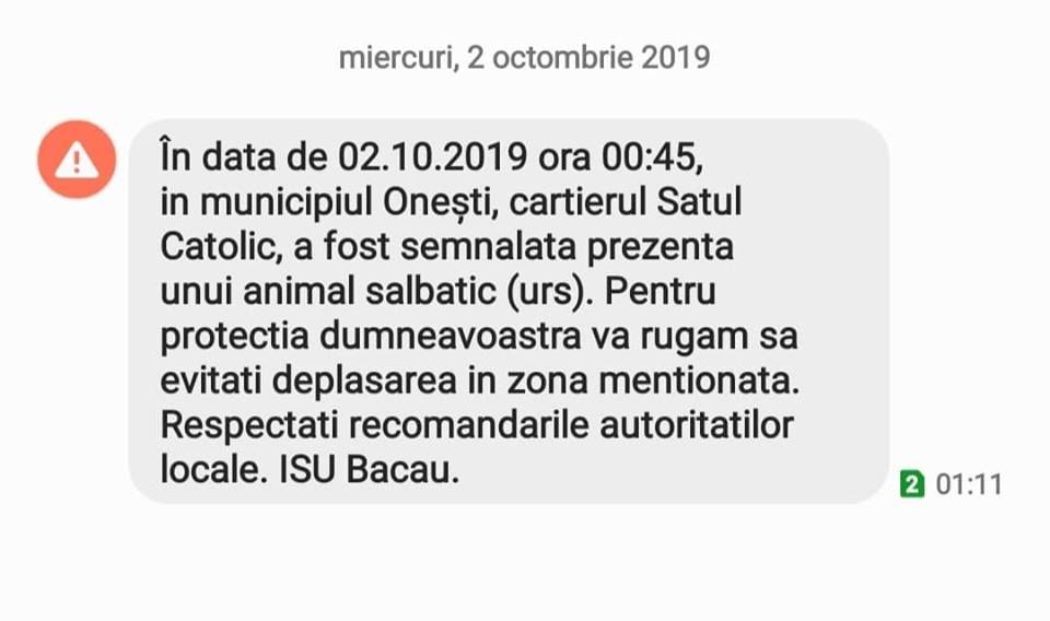 Nu se mai liniștește!Ursul a pornit iar la plimbare prin Onești. Autoritățile sunt în alertă!