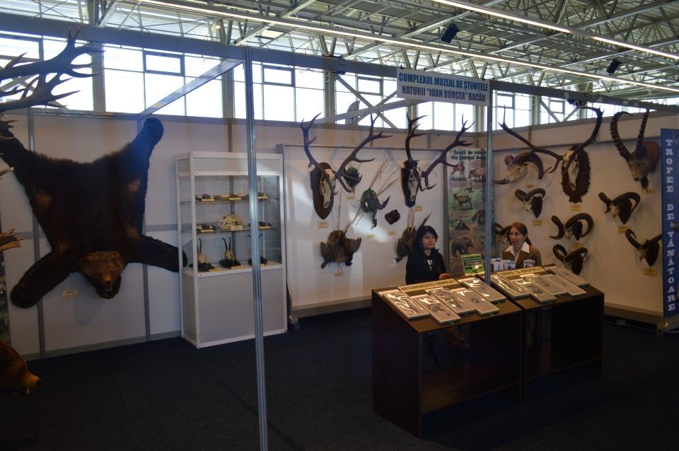 Astăzi începe în Bacău „Hunting Moldavia – Târgul Internațional de Vânătoare și Pescuit”. Nu lipsesc trofeele lui Ceaușescu și bucătăria cu specific vânătoresc și pescăresc