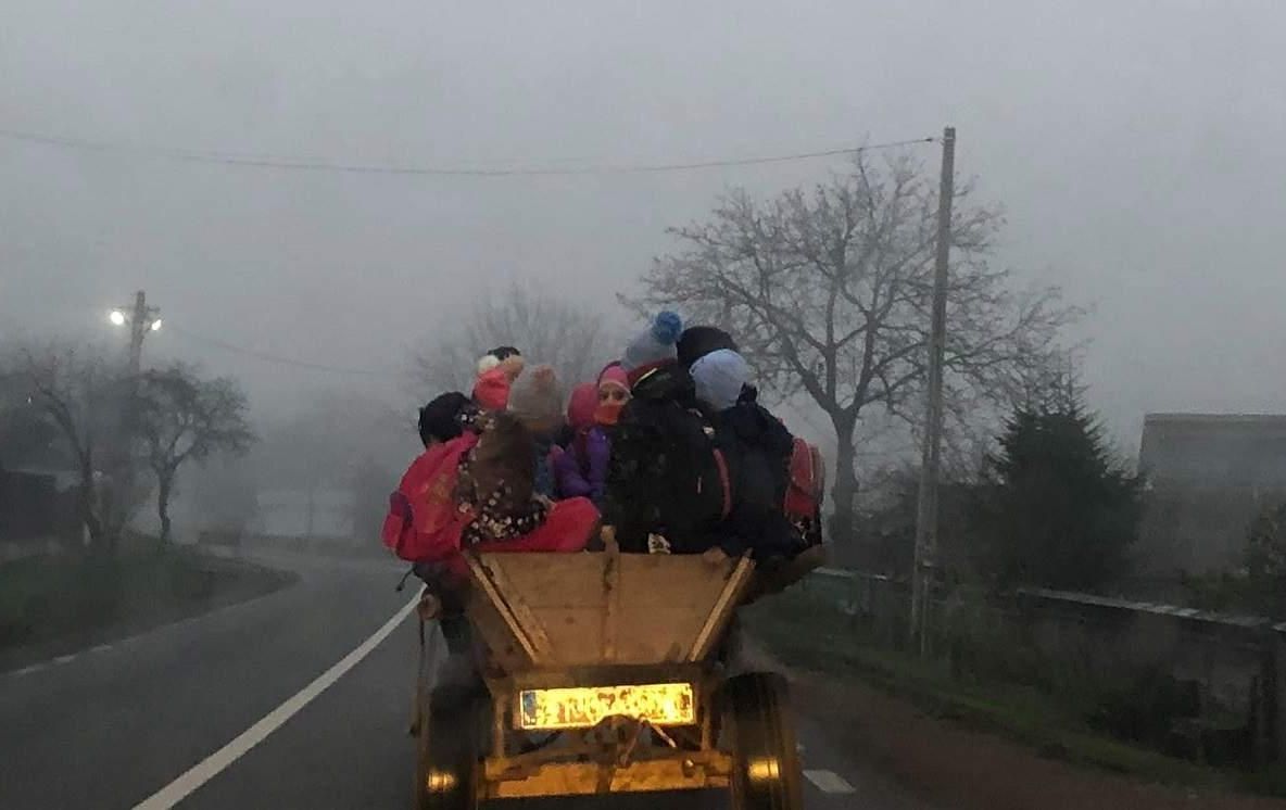PERICOL PUBLIC!TRANSPORT ȘCOLAR HIPO în județul Bacău. Mai mulți copii înghesuiți într-o căruță nesemnalizată sunt cărați la școală ca la iarmaroc