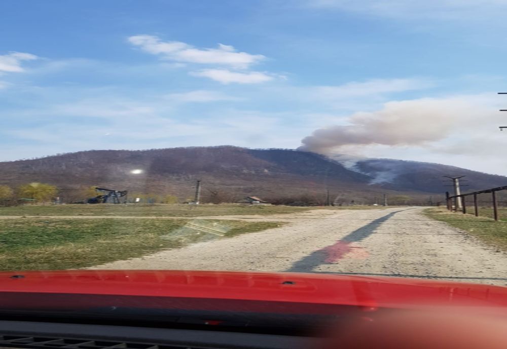 Incendiu în comuna Dofteana, sat Bogata