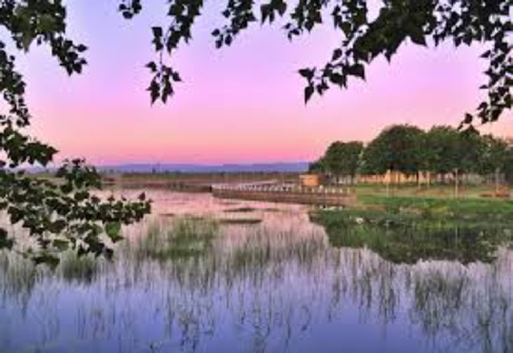 Teatrul Municipal „Bacovia” dă startul stagiunii de vară în amfiteatrul de pe Insula de Agrement