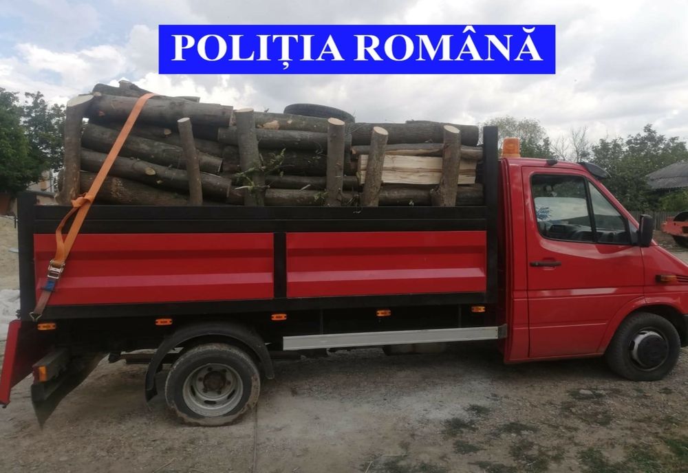 ”ACTION DAY - FORESTRY”- s-a lăsat cu dosare penale , amenzi și mașini confiscate