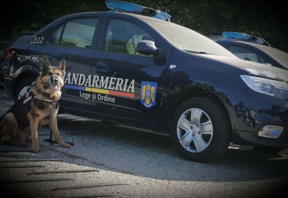 Câinii de serviciu- partenerii de încredere ai jandarmilor băcăuani