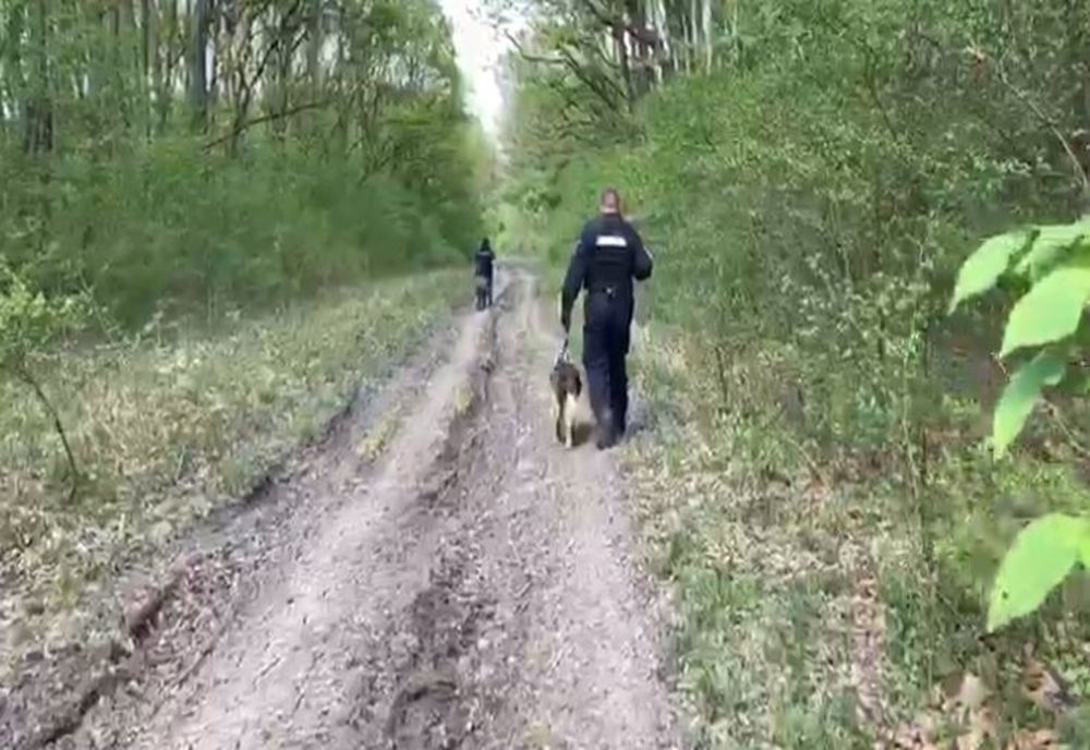 Minor dispărut, găsit de echipele de căutare