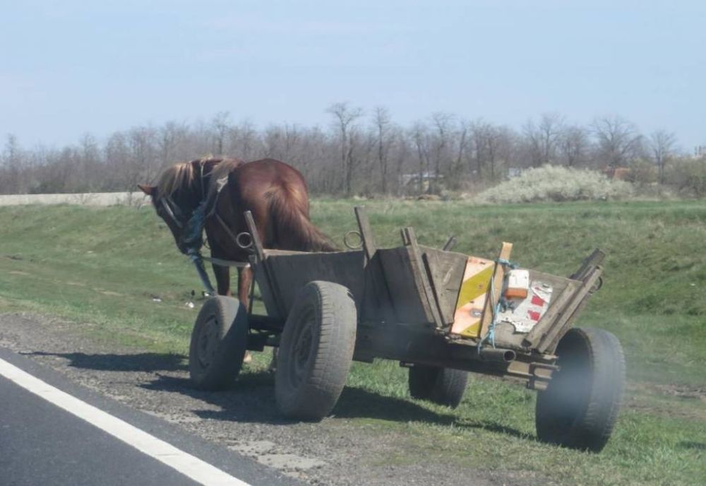 Și-a pierdut calul și căruța! Unde le-au găsit polițiștii