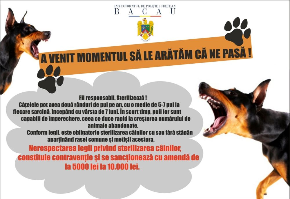 „ÎN ATENŢIA PROPRIETARILOR DE ANIMALE!”- campanie de informare