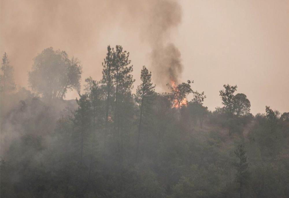 Incendiul de proporții din Bacău nu a fost stins nici după patru zile