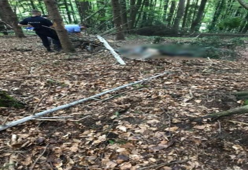 Bărbat cercetat penal pentru că a tăiat un copac