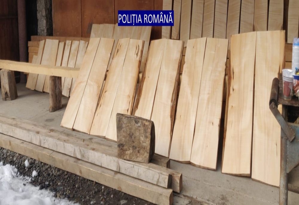 Material lemnos indisponibilizat de poliţişti în cadrul unei percheziţii domiciliare
