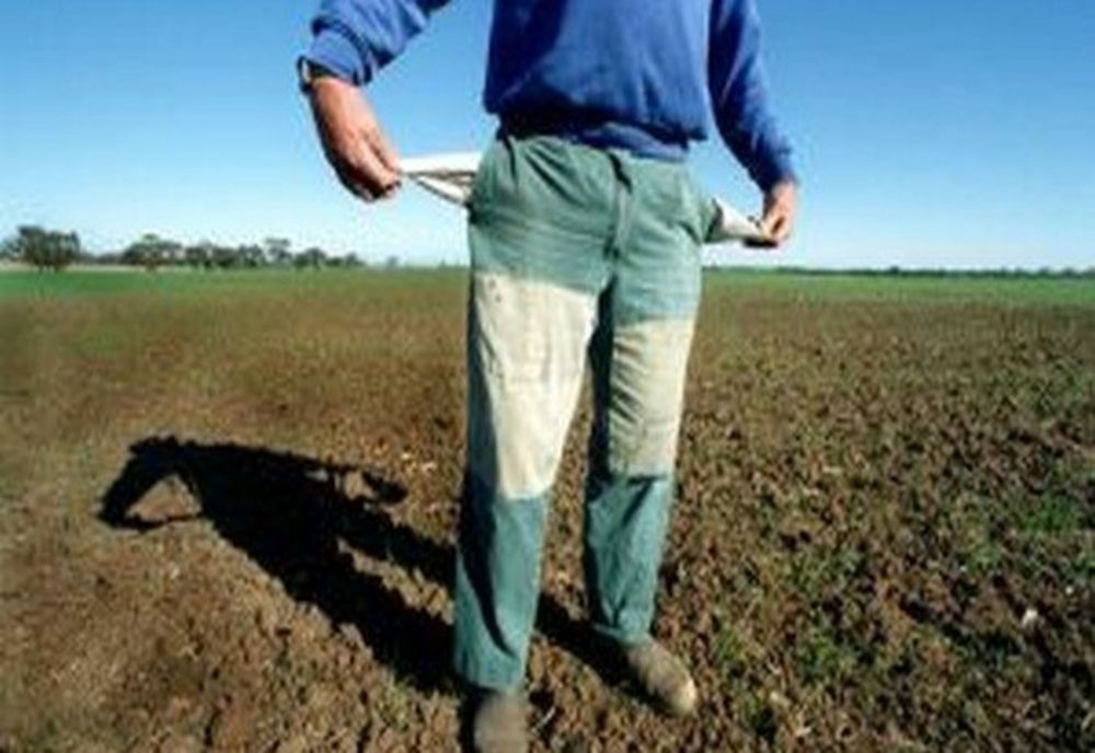 PMP cere măsuri urgente: „Guvernul trebuie să ia ACUM măsuri pentru evitarea unei crize la alimente!”